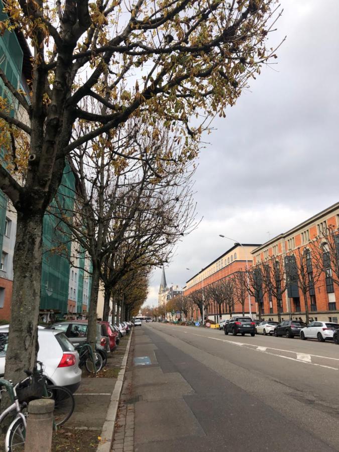 Studio Entier En Centre Ville Appartamento Strasburgo Esterno foto