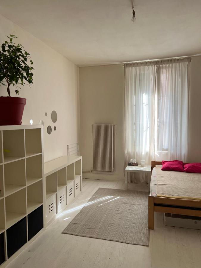 Studio Entier En Centre Ville Appartamento Strasburgo Esterno foto
